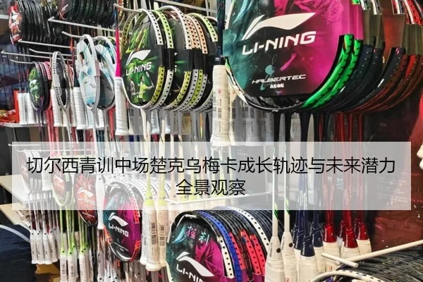 切尔西青训中场楚克乌梅卡成长轨迹与未来潜力全景观察