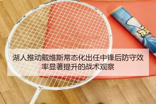 湖人推动戴维斯常态化出任中锋后防守效率显著提升的战术观察