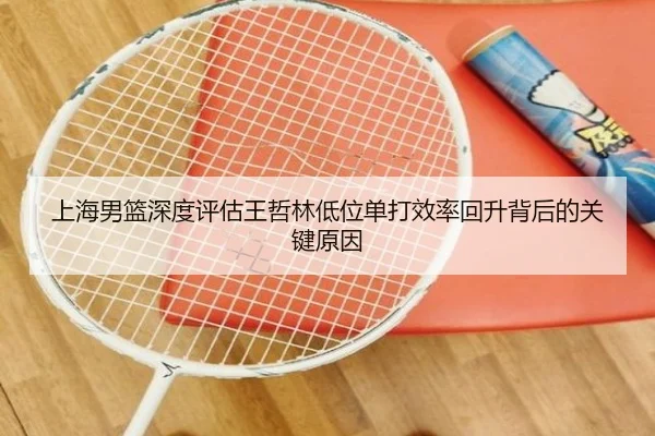 上海男篮深度评估王哲林低位单打效率回升背后的关键原因
